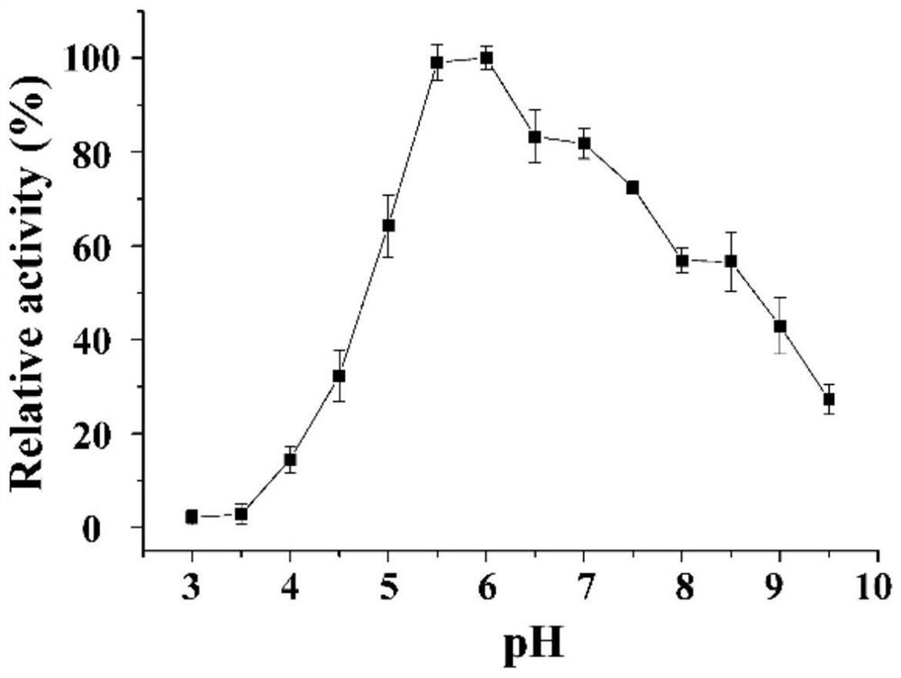 A kind of α-amylase, encoding gene, carrier, host and application thereof