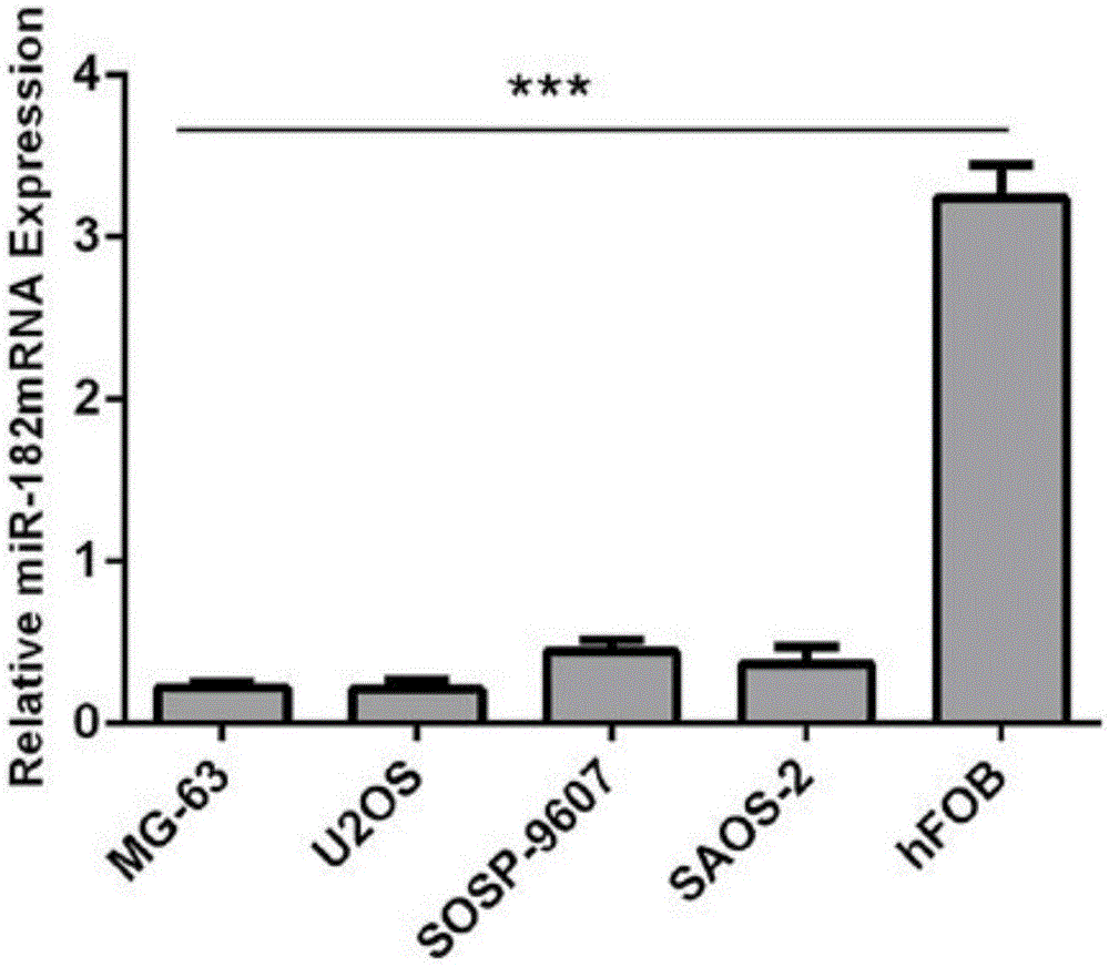 MiR-182 transcription inhibition factor and application of miR-182 transcription inhibition factor to osteosarcoma