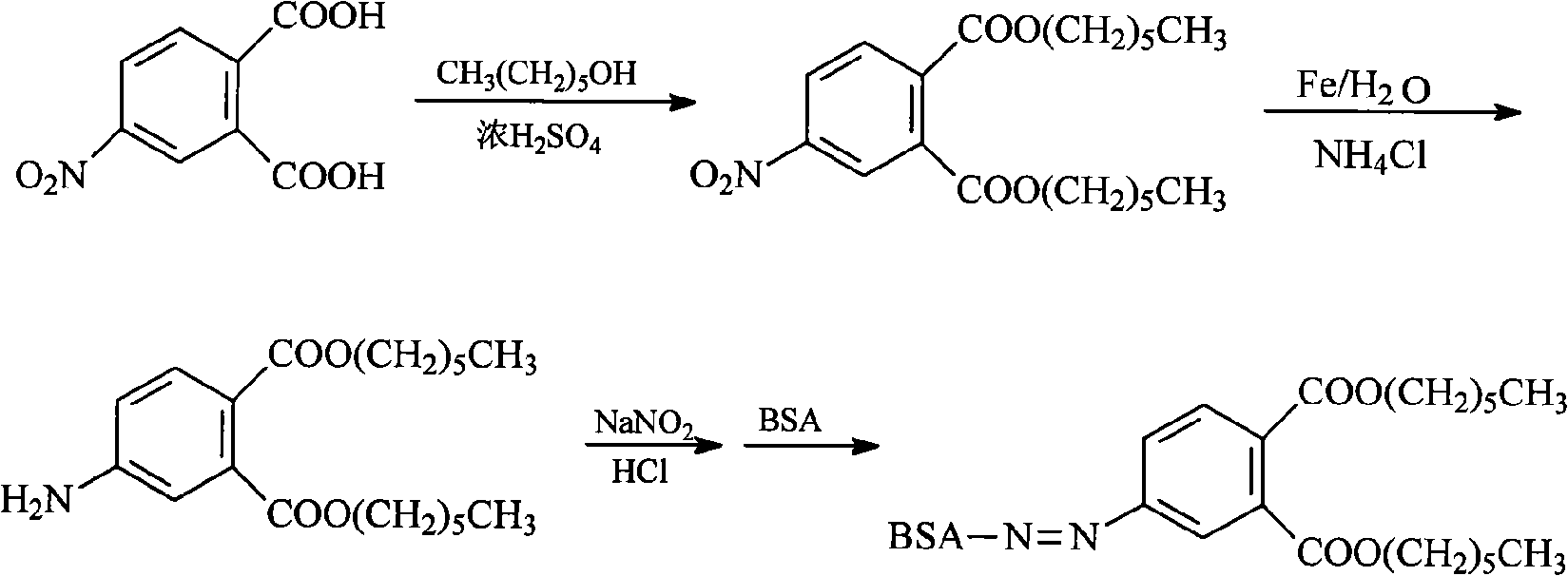 Preparation of phthalandione diethyl artificial antigen