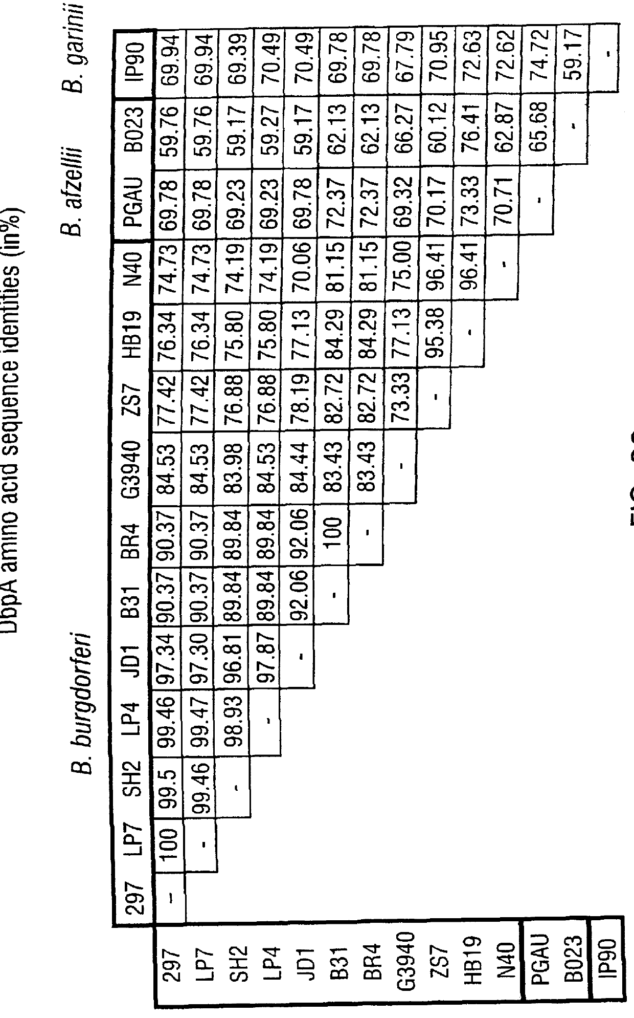 DbpA compositions