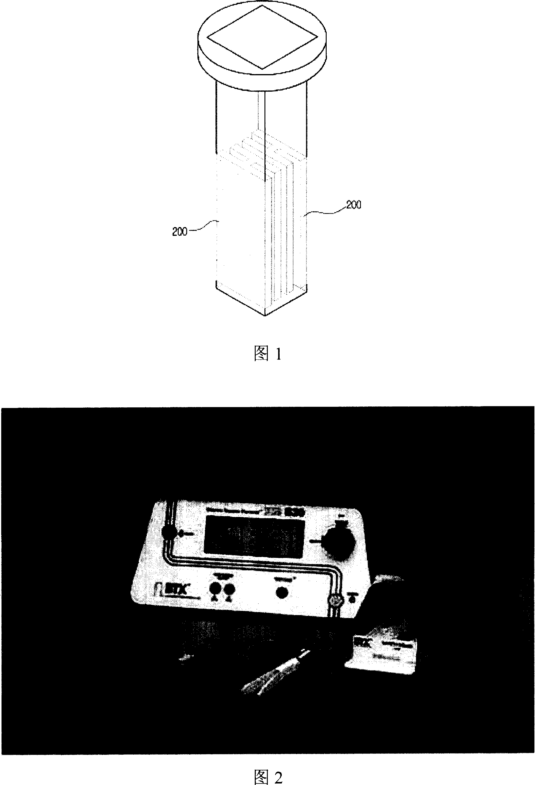 Electroporator having an elongated hollow member