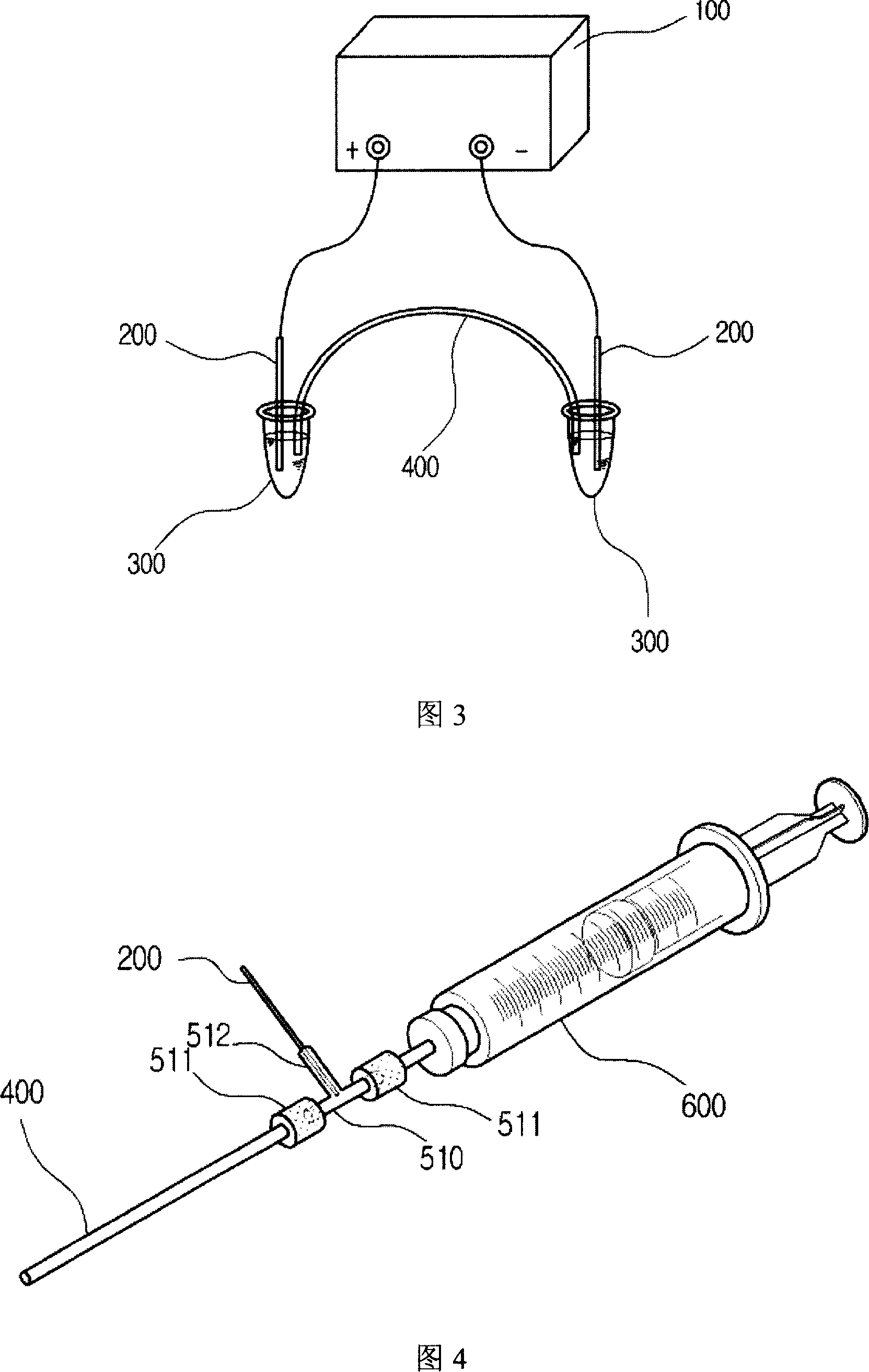 Electroporator having an elongated hollow member