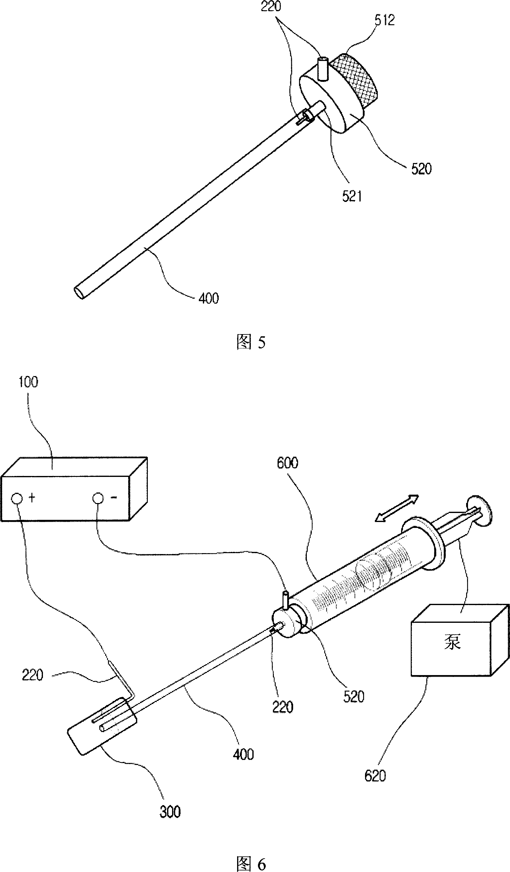 Electroporator having an elongated hollow member