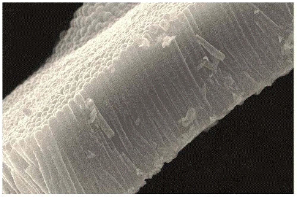 Stimulus-response type polypyrrole nanotube targeting drug carrier and preparation method