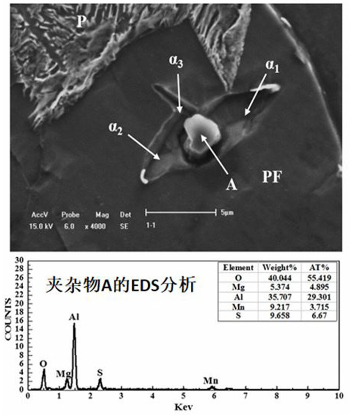 A low-cost magnesium-treated microalloyed steel and its preparation method