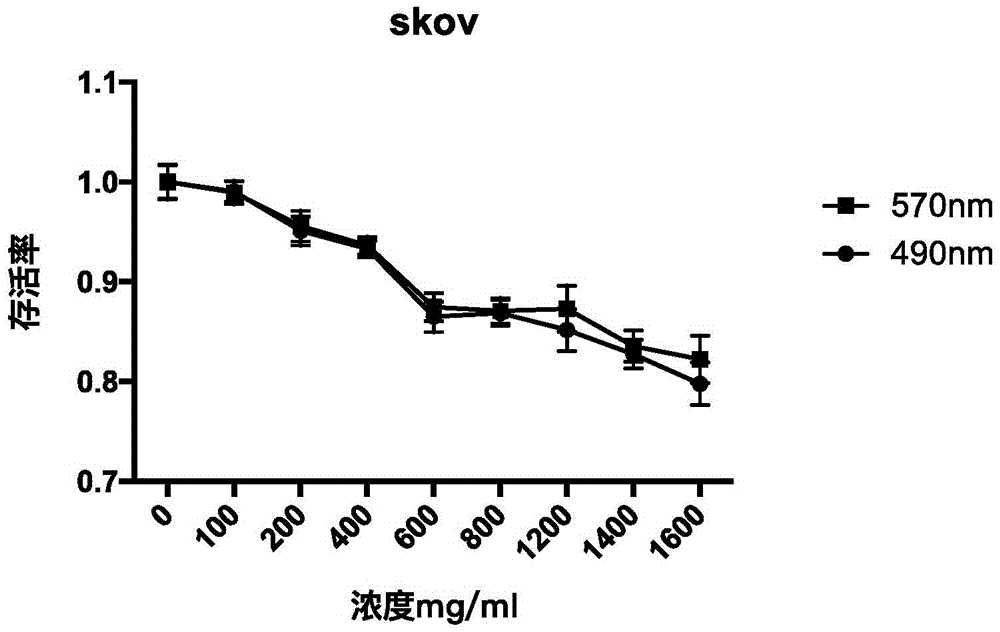 Traditional Chinese medicine composition containing astragalus membranaceus and radix curcuma for assisting tumor radiotherapy, as well as preparation method and application thereof