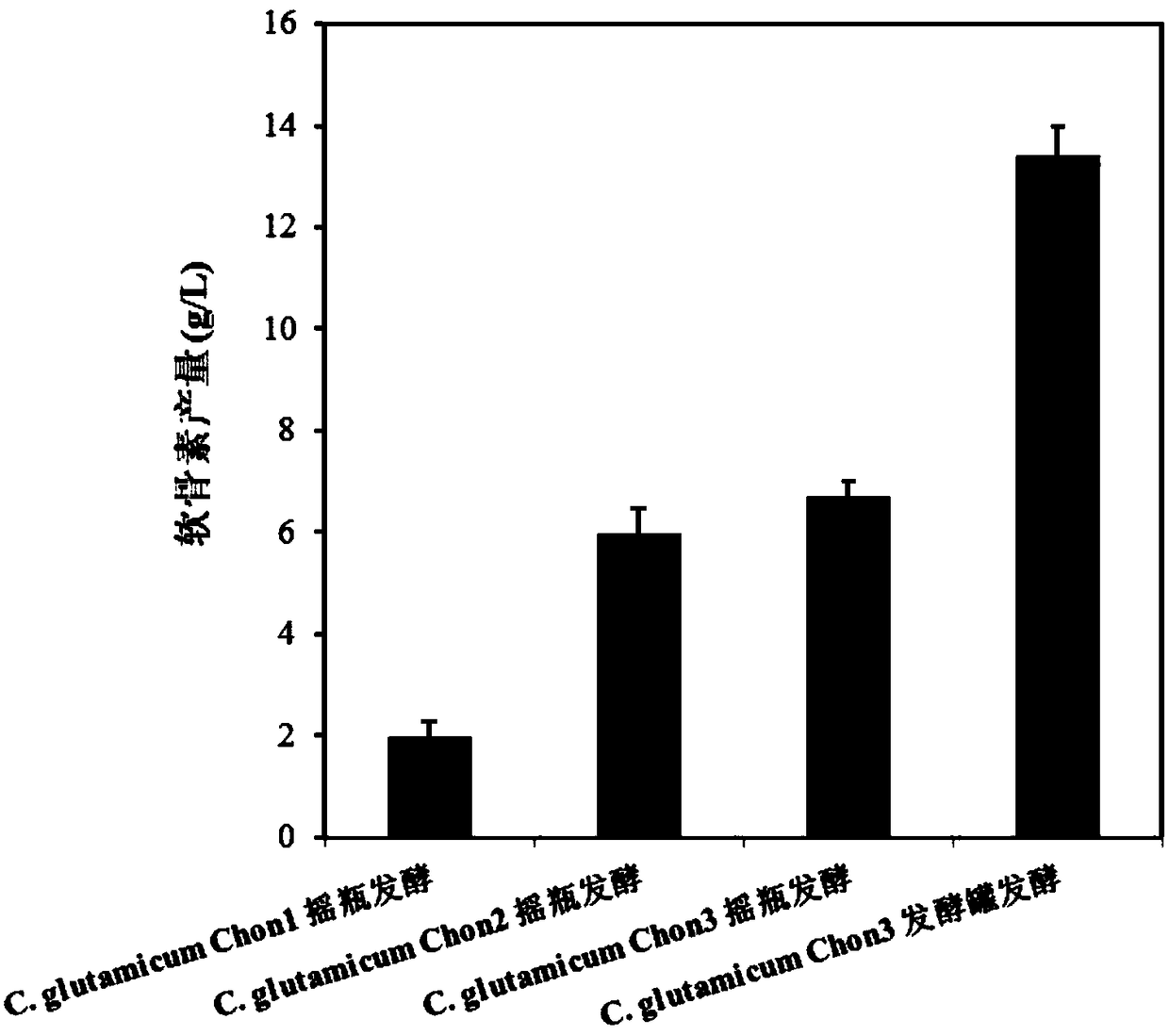 Reorganized corynebacterium glutamicum producing chondroitin and application of reorganized corynebacterium glutamicum