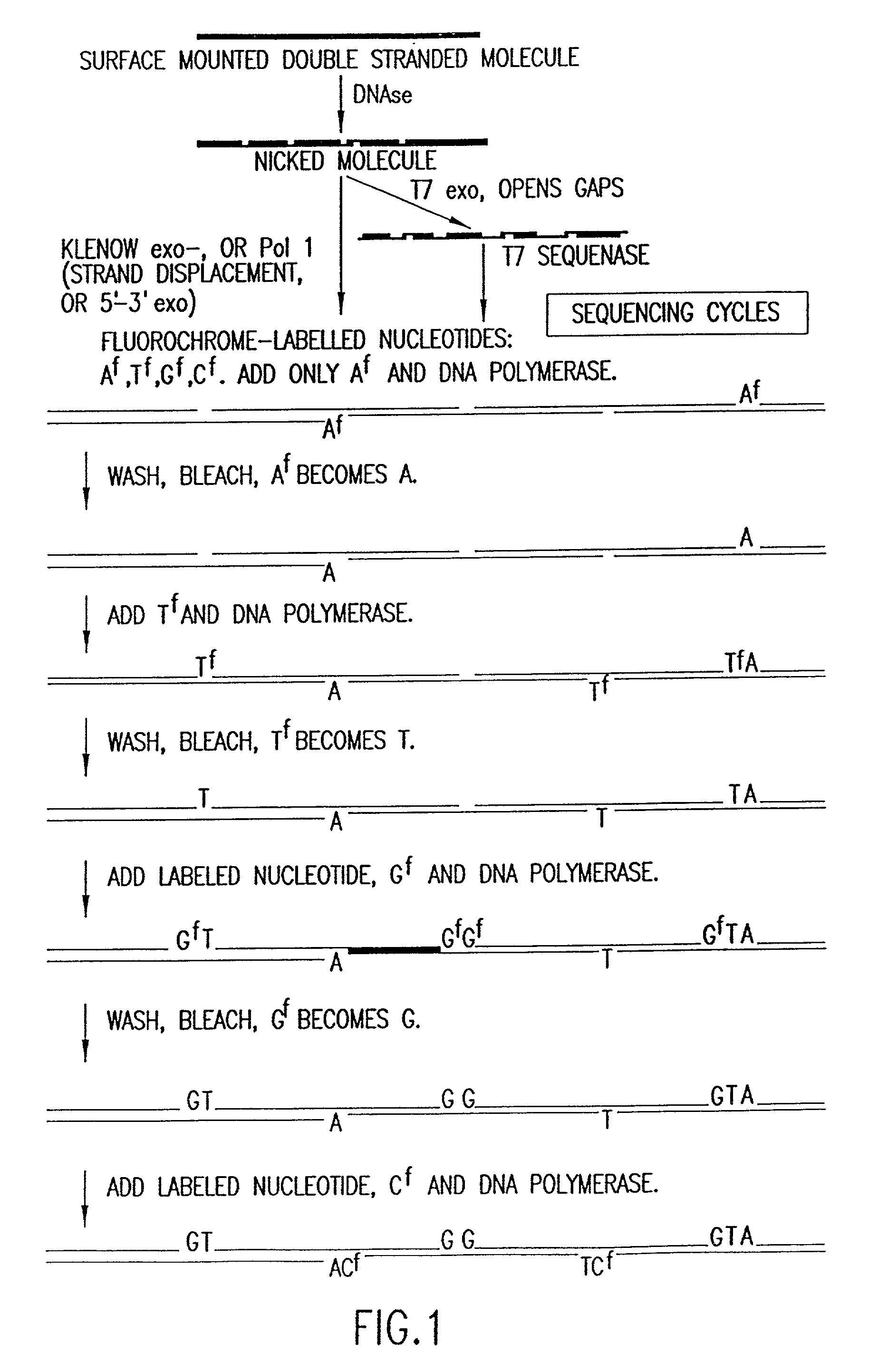 Method for analyzing nucleic acid reactions