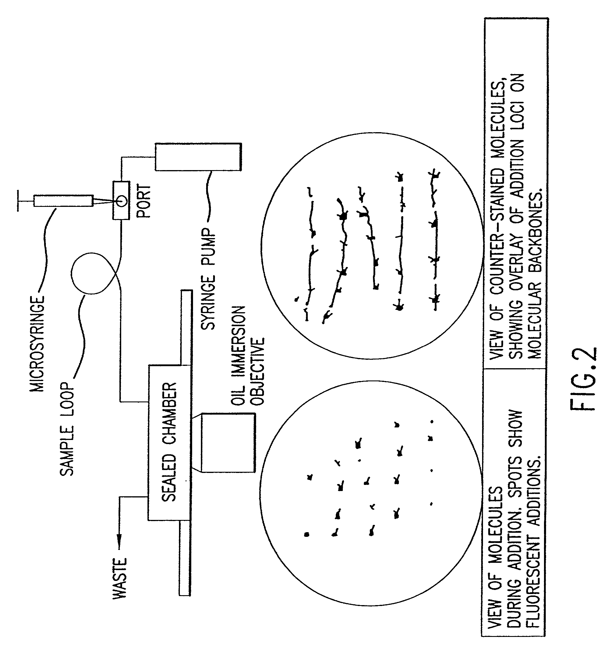 Method for analyzing nucleic acid reactions