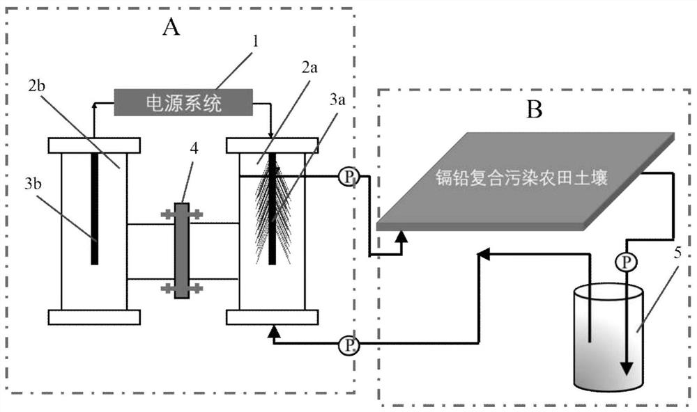 Device and method for in-situ remediation of cadmium and lead polluted farmland soil by microbial electrochemically driven sulfate reduction system