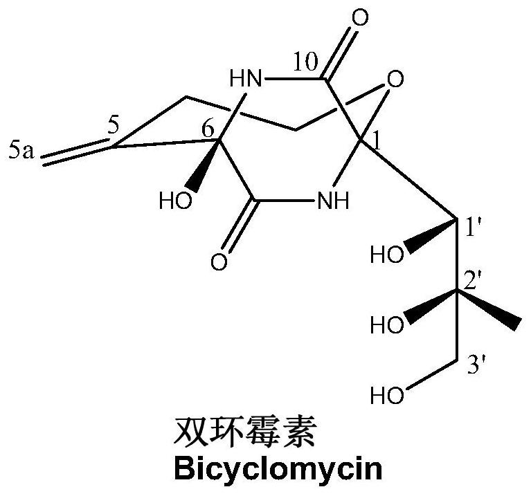 The function and application of oxidase in the biosynthesis of dicyclomycin