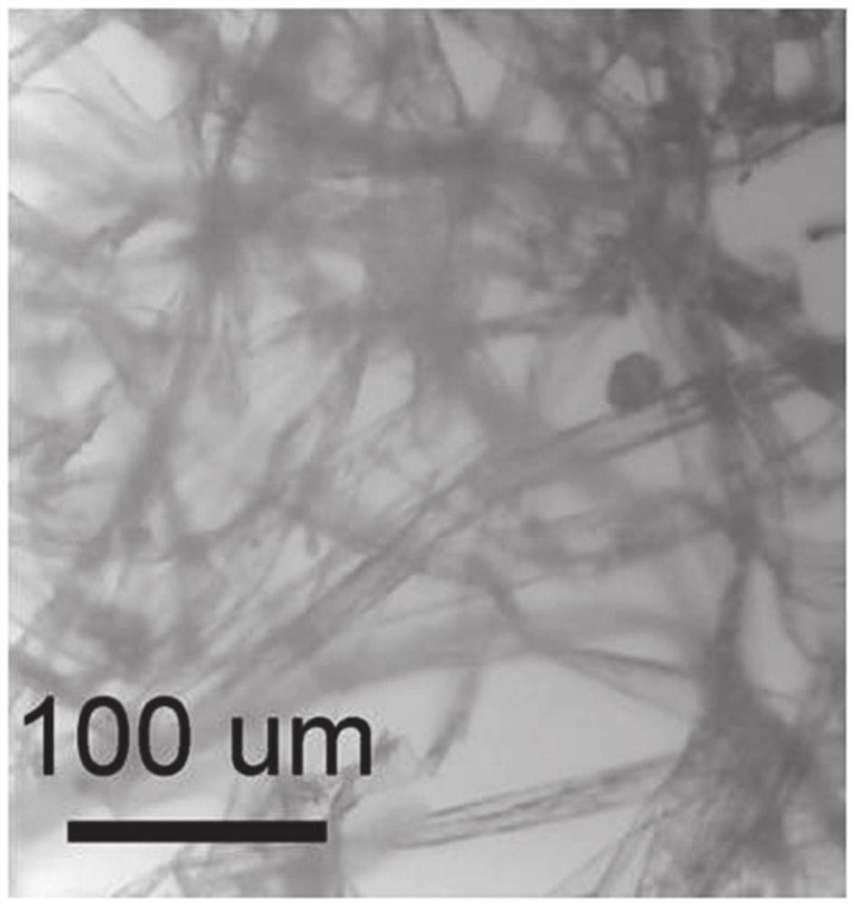 A kind of carbon material and its preparation method and application