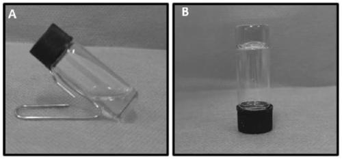 Thiol/boronic group modified polymer, glucose-sensitive hydrogel composition, glucose-sensitive drug-loaded hydrogel, and preparation method thereof