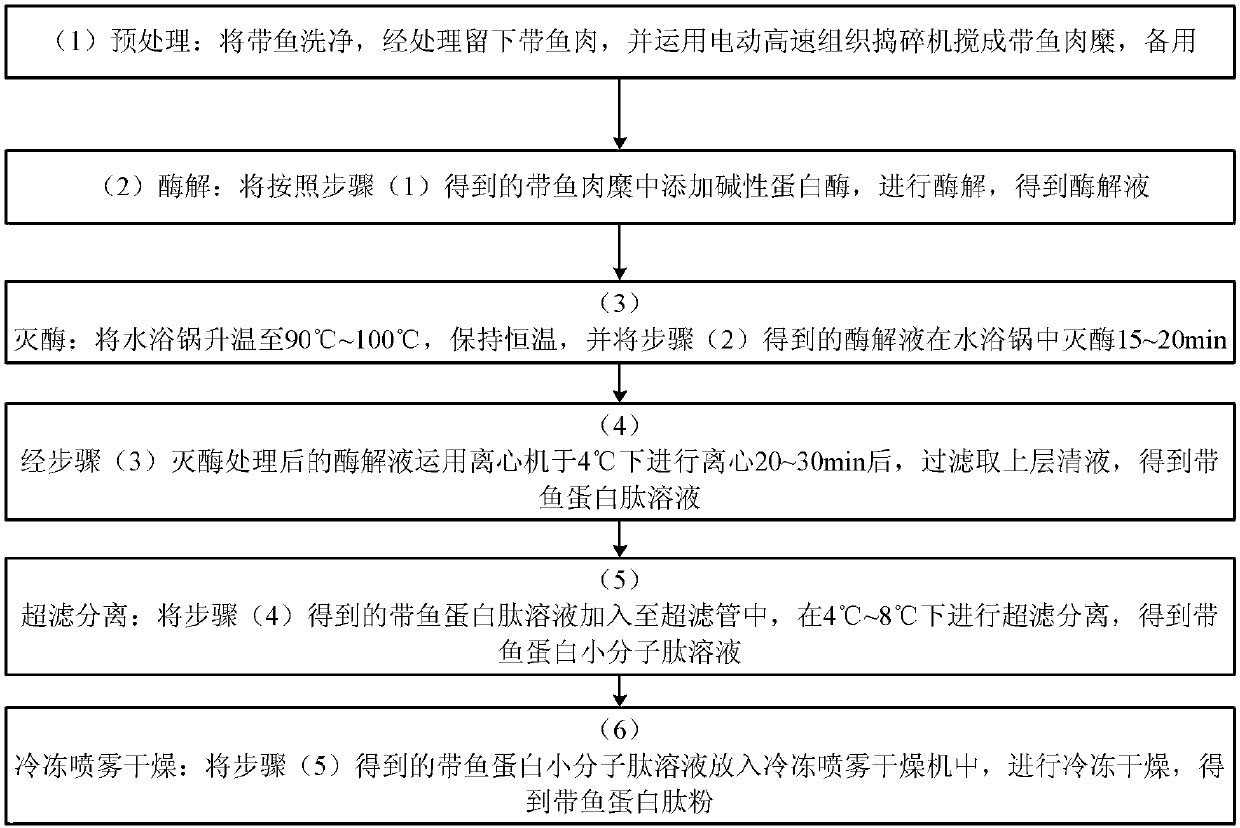 Hairtail protein peptide nutrient milk powder and preparation method thereof