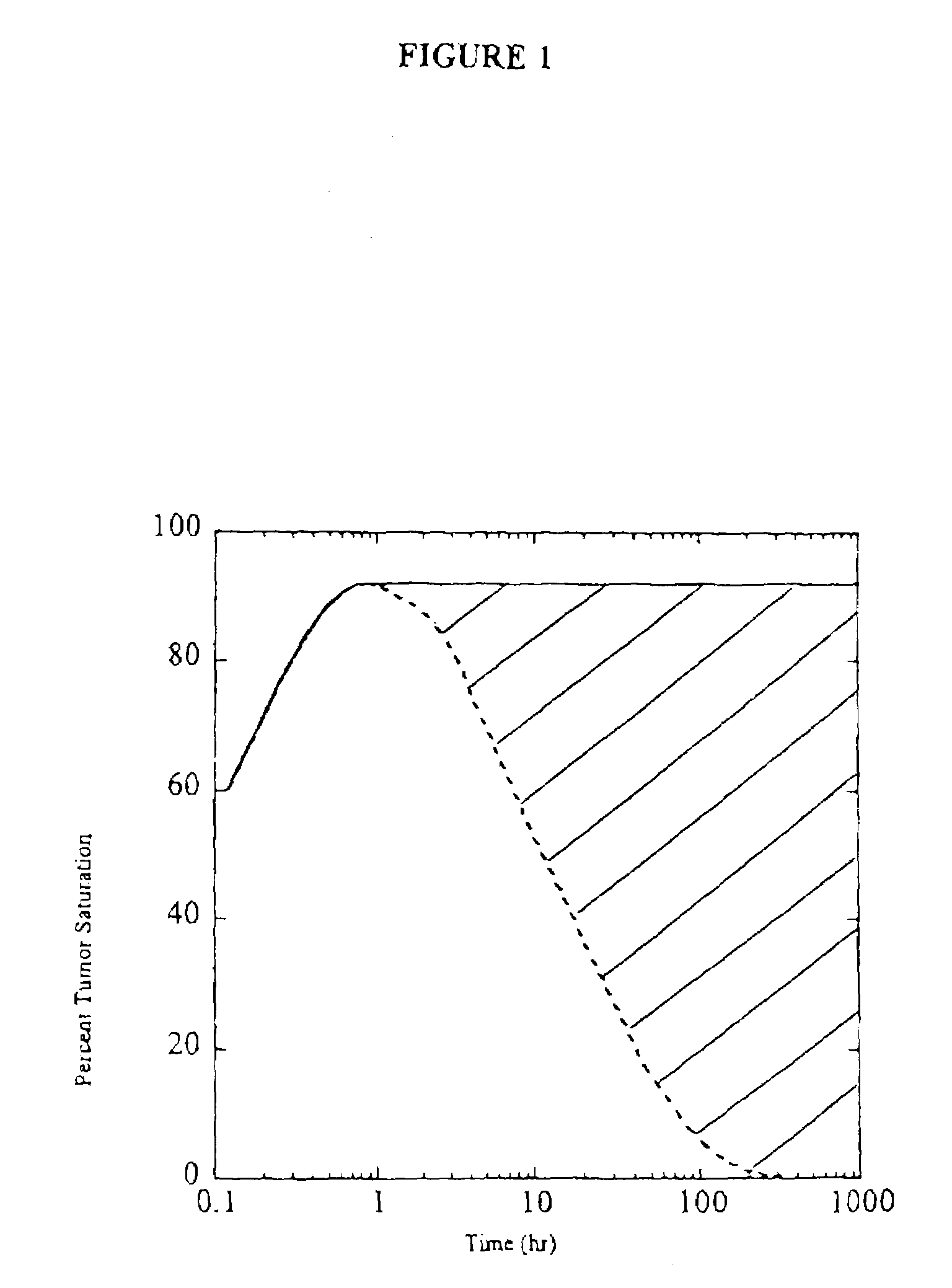 Antibodies against tumor surface antigens