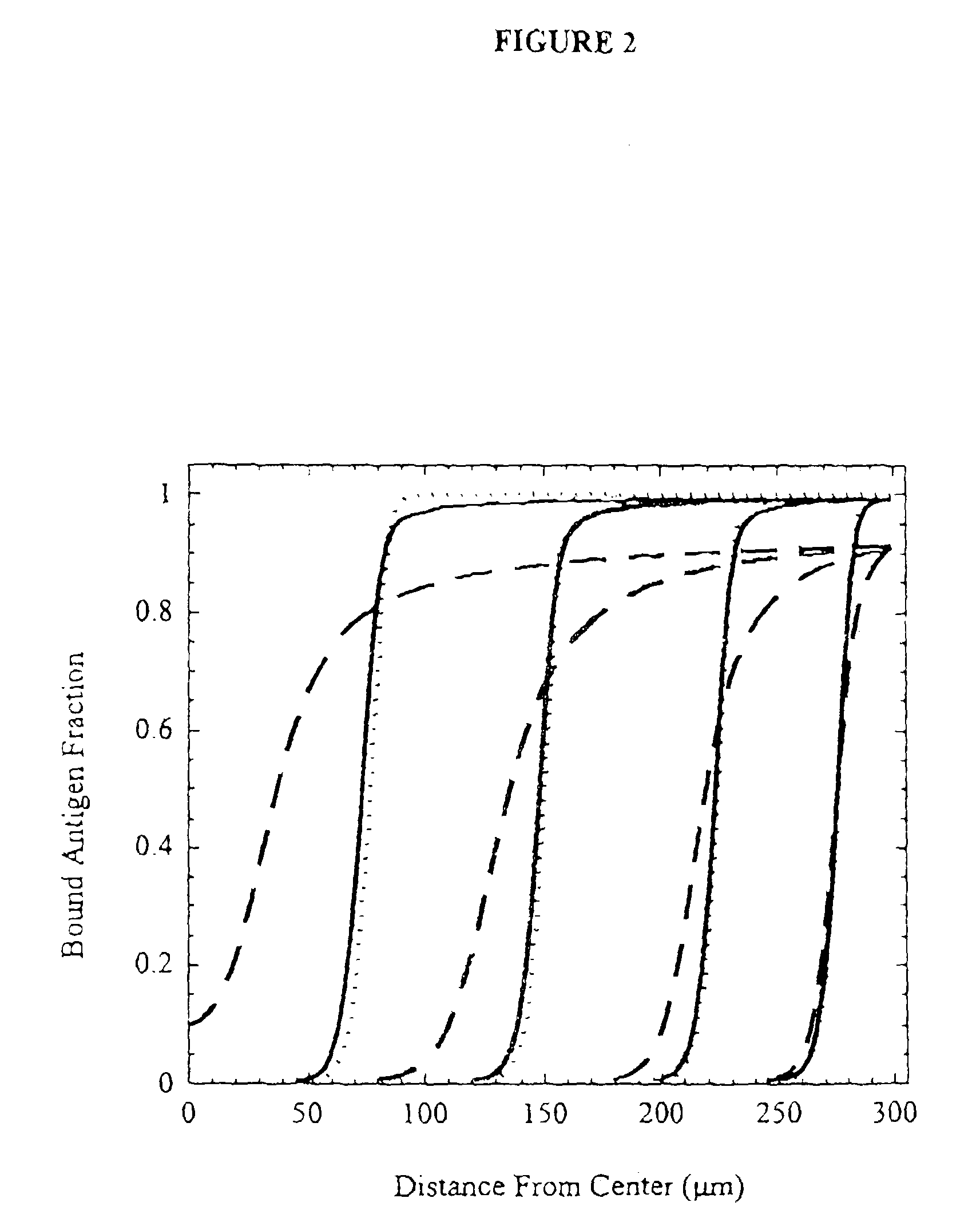 Antibodies against tumor surface antigens