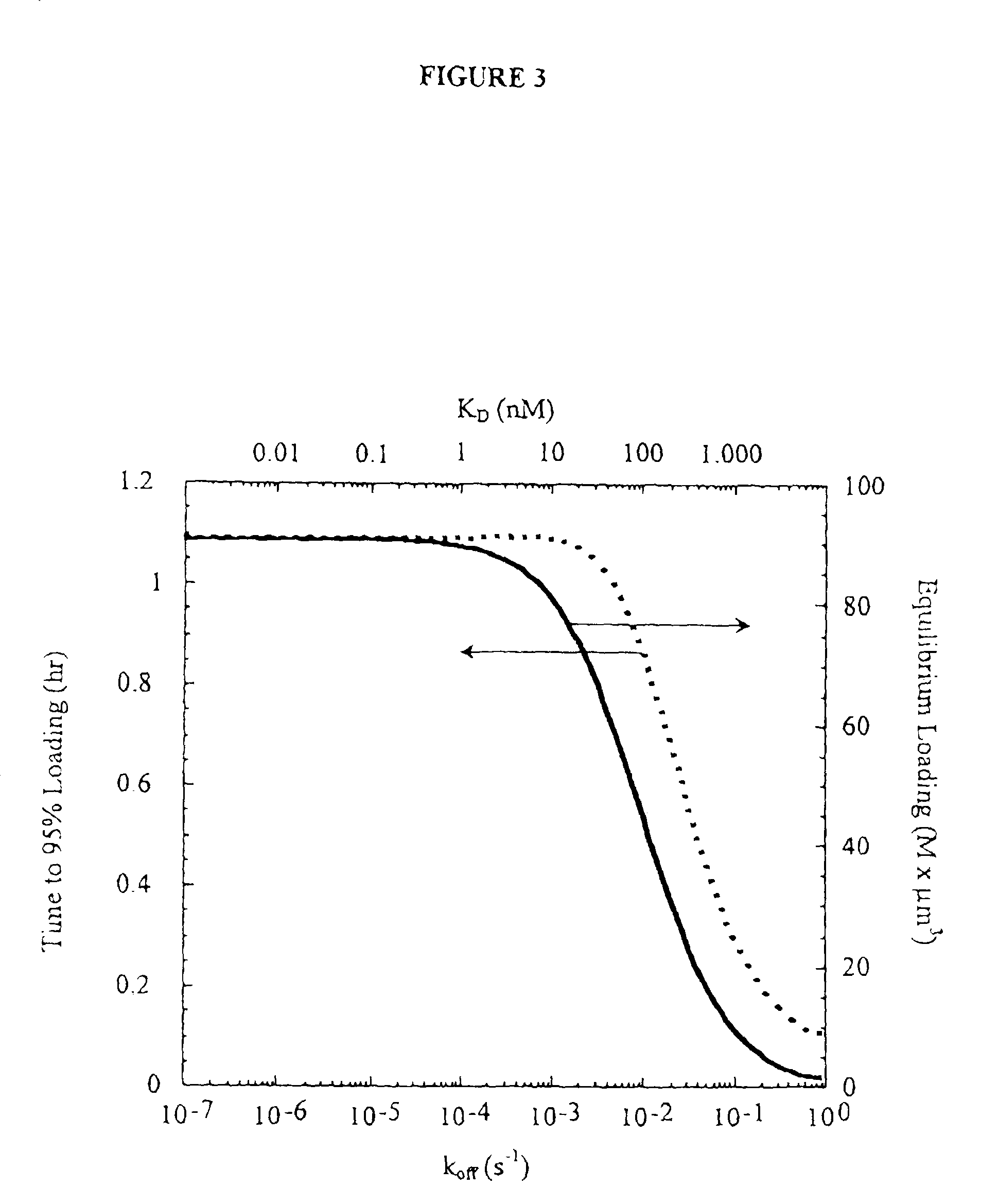 Antibodies against tumor surface antigens