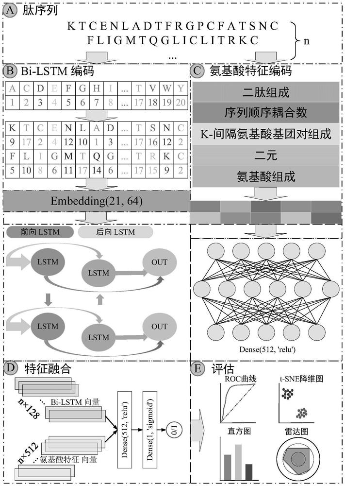 Anticancer peptide prediction method based on bidirectional long-short-term memory network and feature fusion