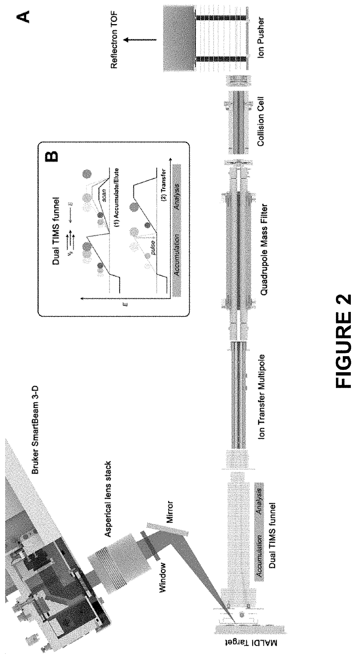 Processing of spatially resolved, ion-spectrometric measurement signal data to determine molecular content scores in two-dimensional samples