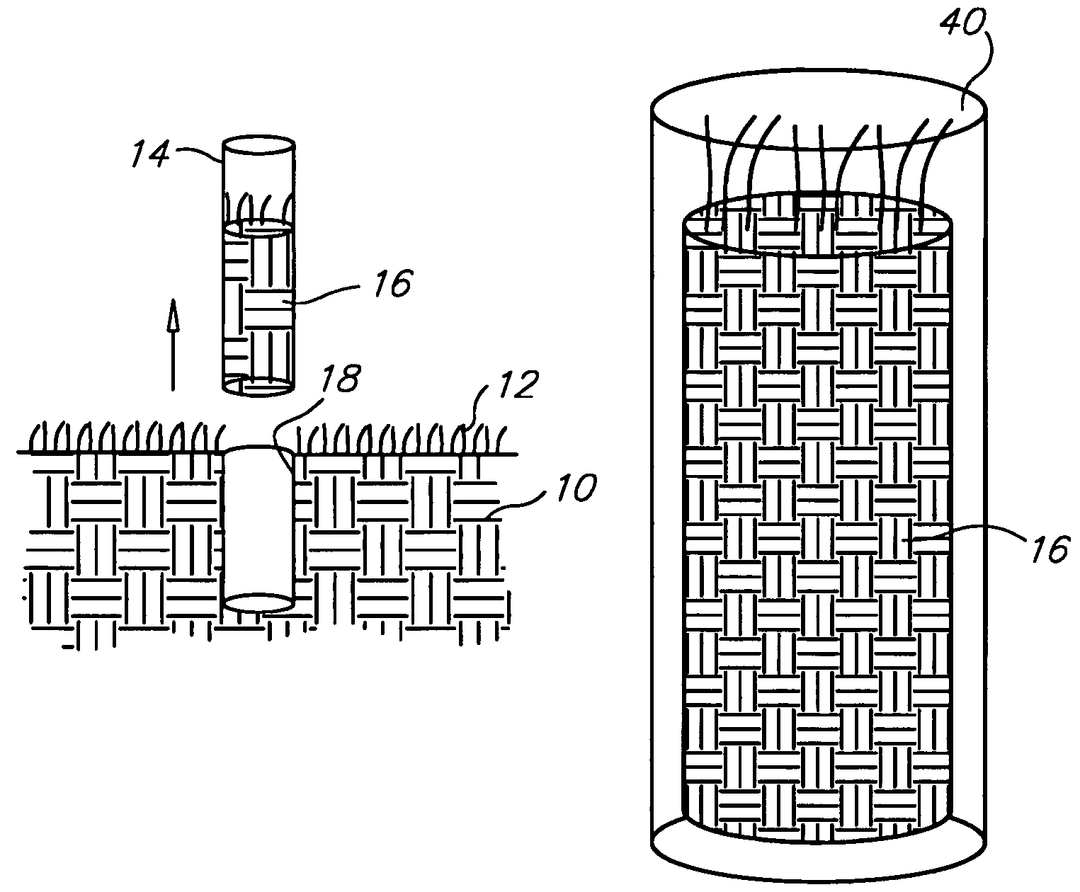 Stabilized soil core samples and method for preparing same