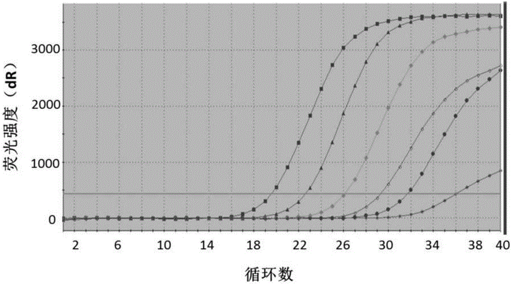 High-sensitivity BHV-2 (bovine herpes virus 2) quantitative real-time PCR (polymerase chain reaction) detection method and kit