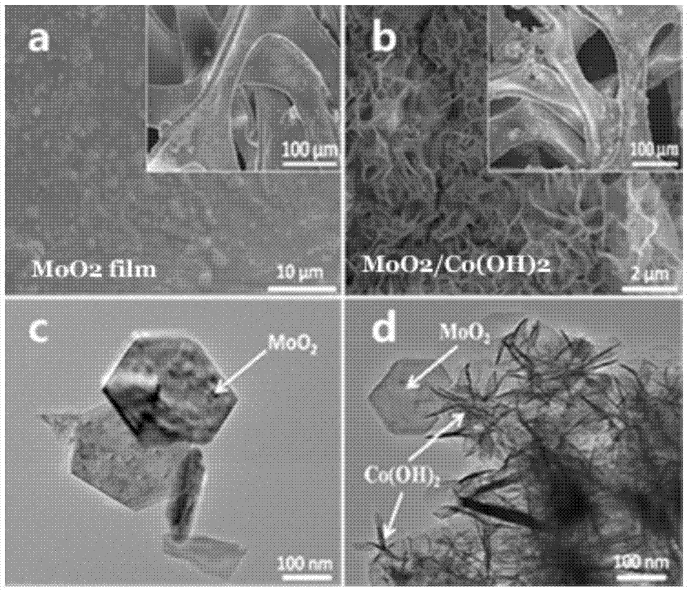 MoO2/Co(OH)2 grading composite nano-material, and preparation method and application thereof