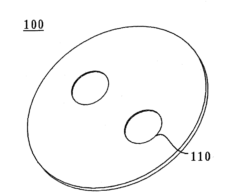 Reflective/covered compact fluorescent lamp with radiating cover