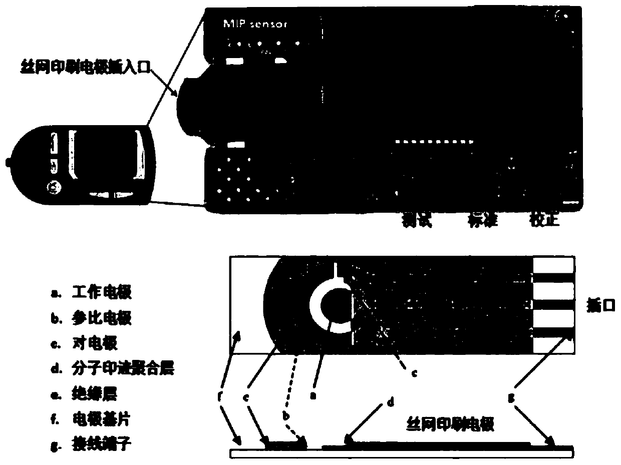 Portable AHL molecular imprinting silk-screen printing electrochemical detector