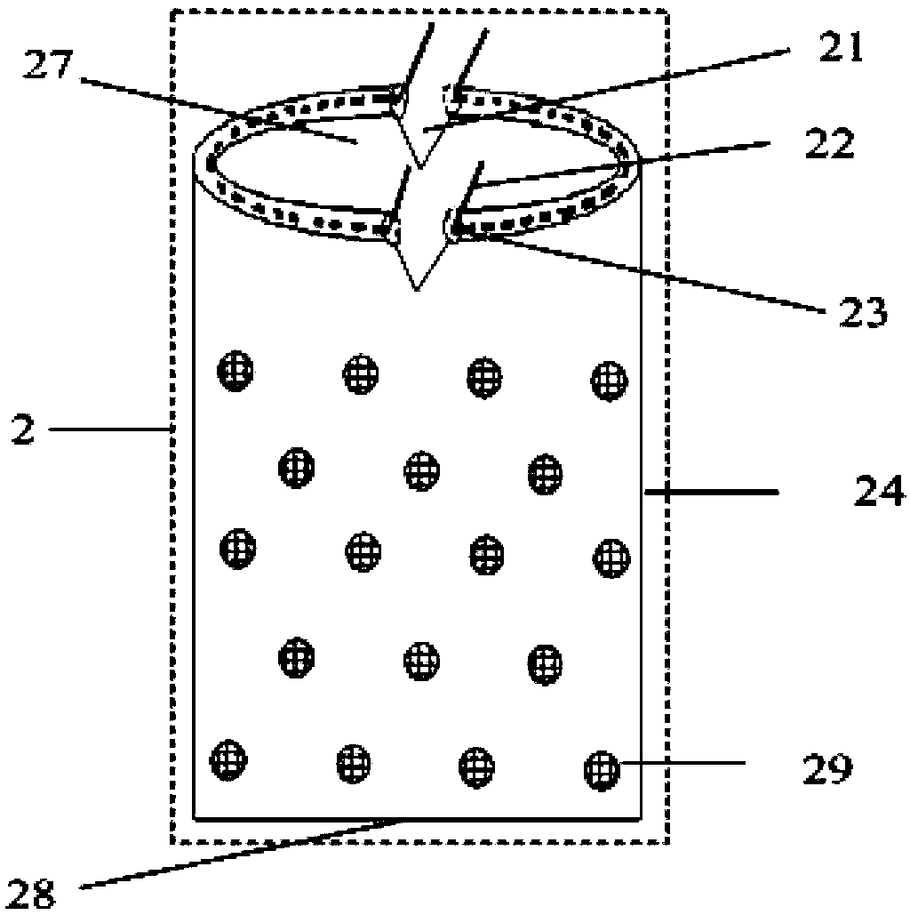 Robinia pseudoacacia cross-pollination isolation device