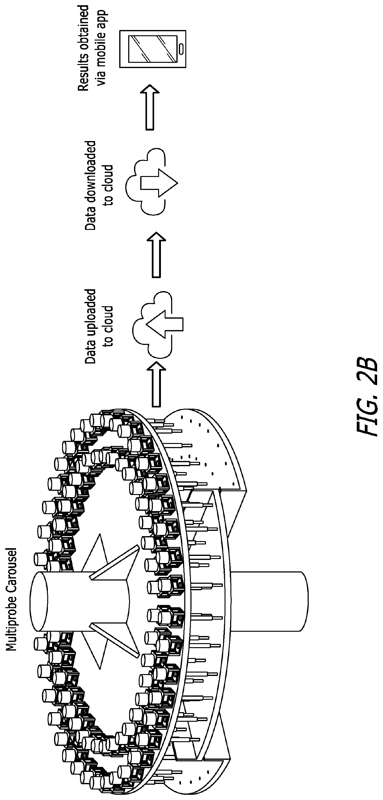 Rapid viral diagnostic sensor