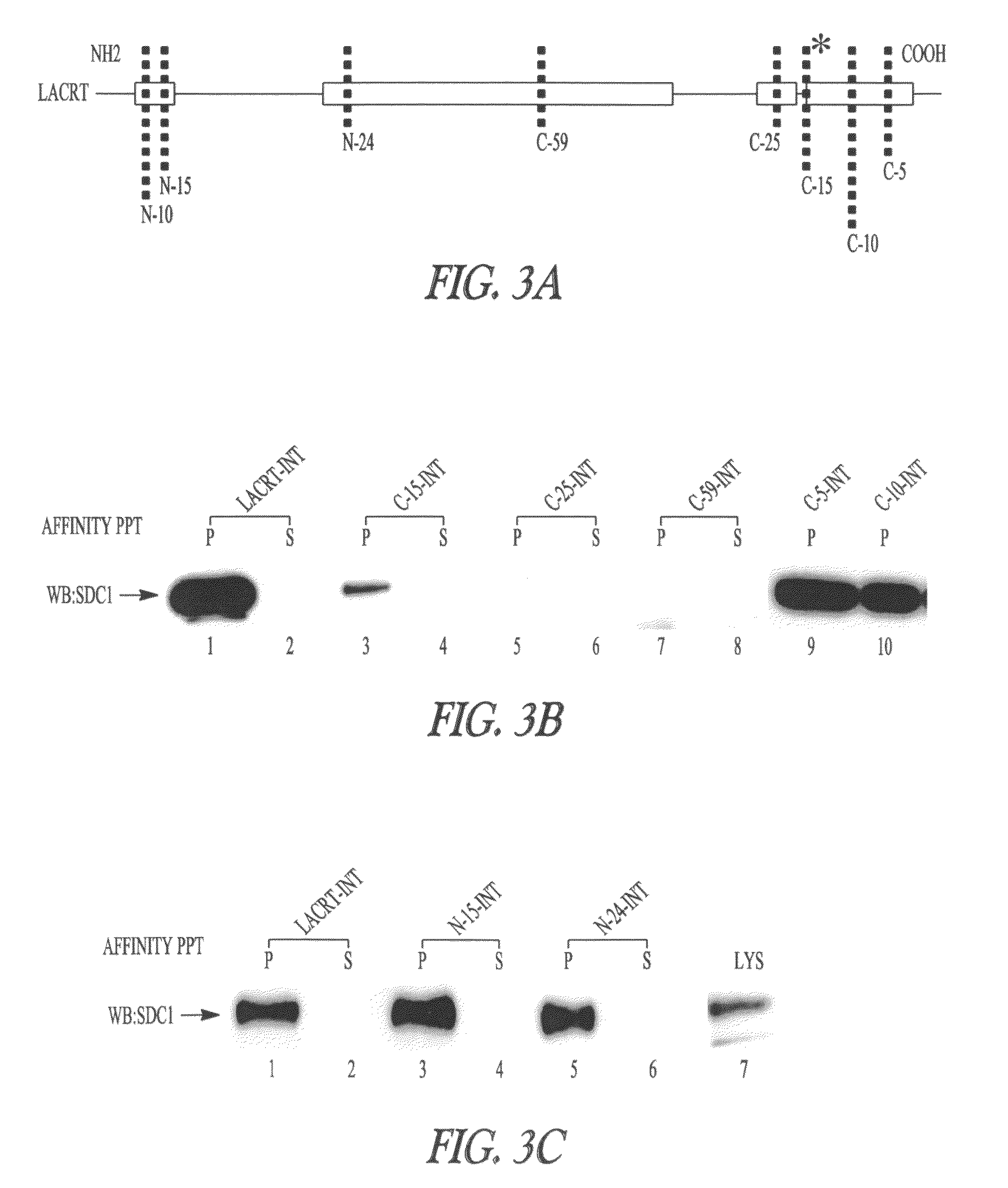 Lacritin-syndecan fusion proteins