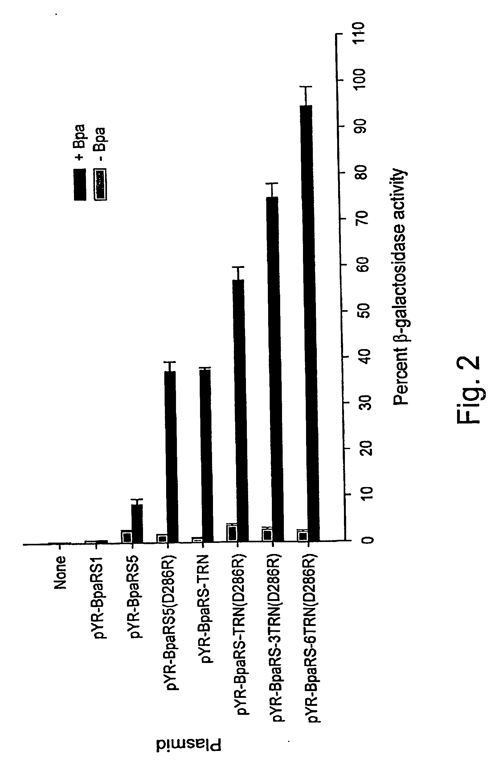 Systems for the Expression of Orthogonal Translation Components Eubacterial Host Cells