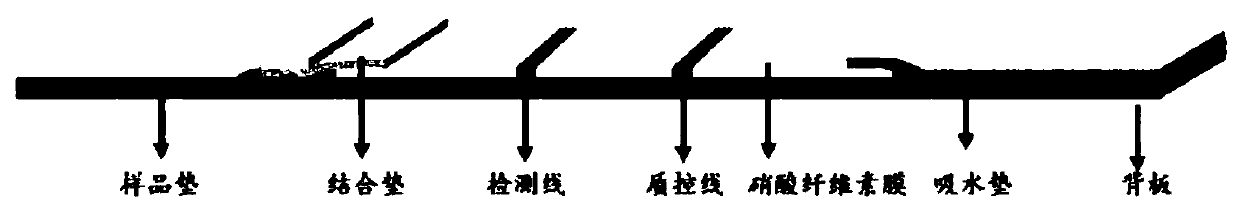 Fast detection kit of donkey-origin component in food and application thereof