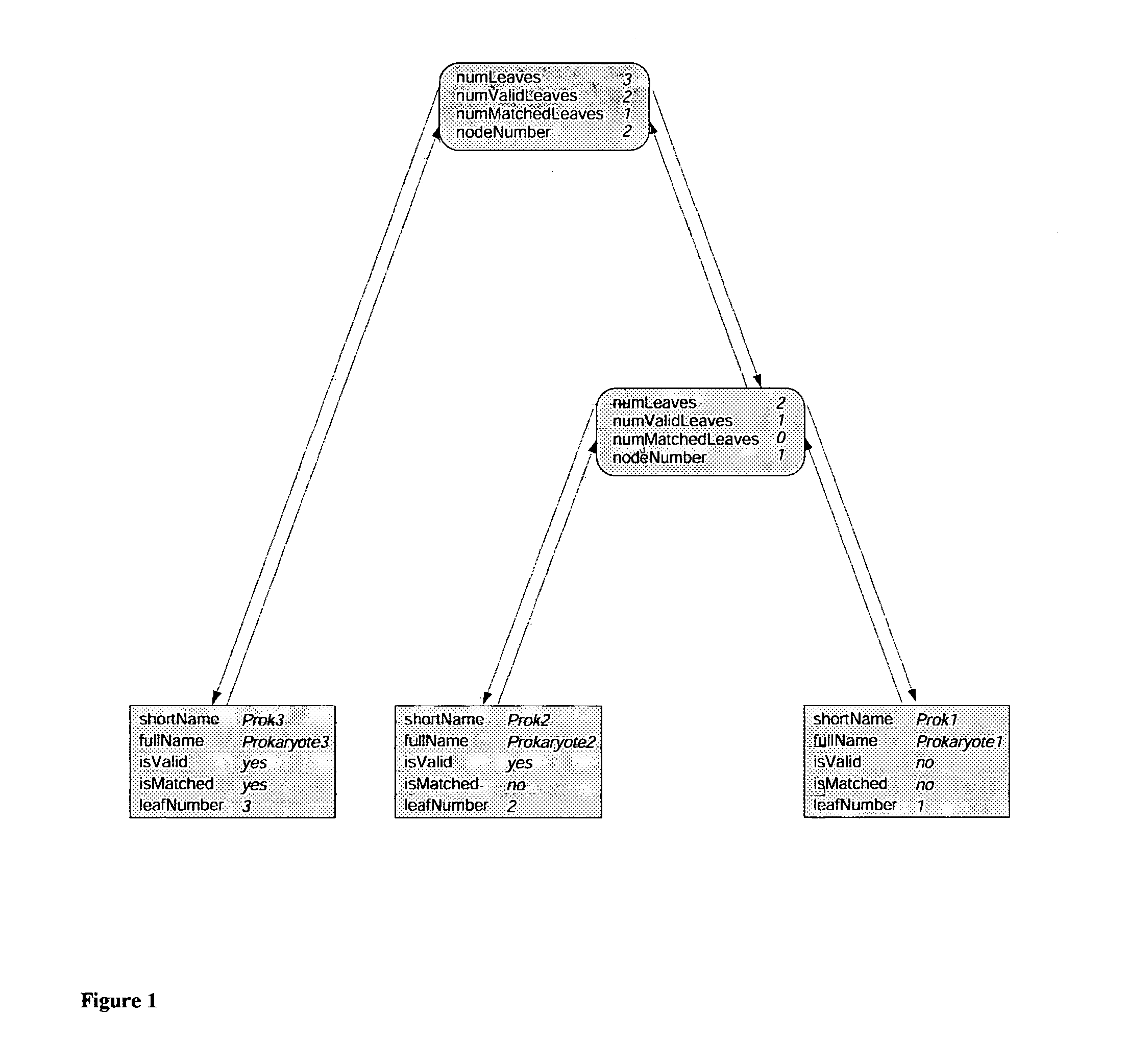 Methods for determining the genetic affinity of microorganisms and viruses