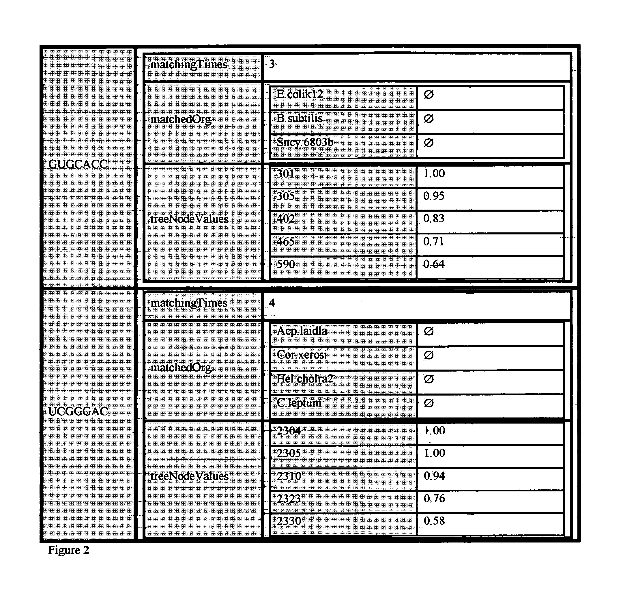 Methods for determining the genetic affinity of microorganisms and viruses