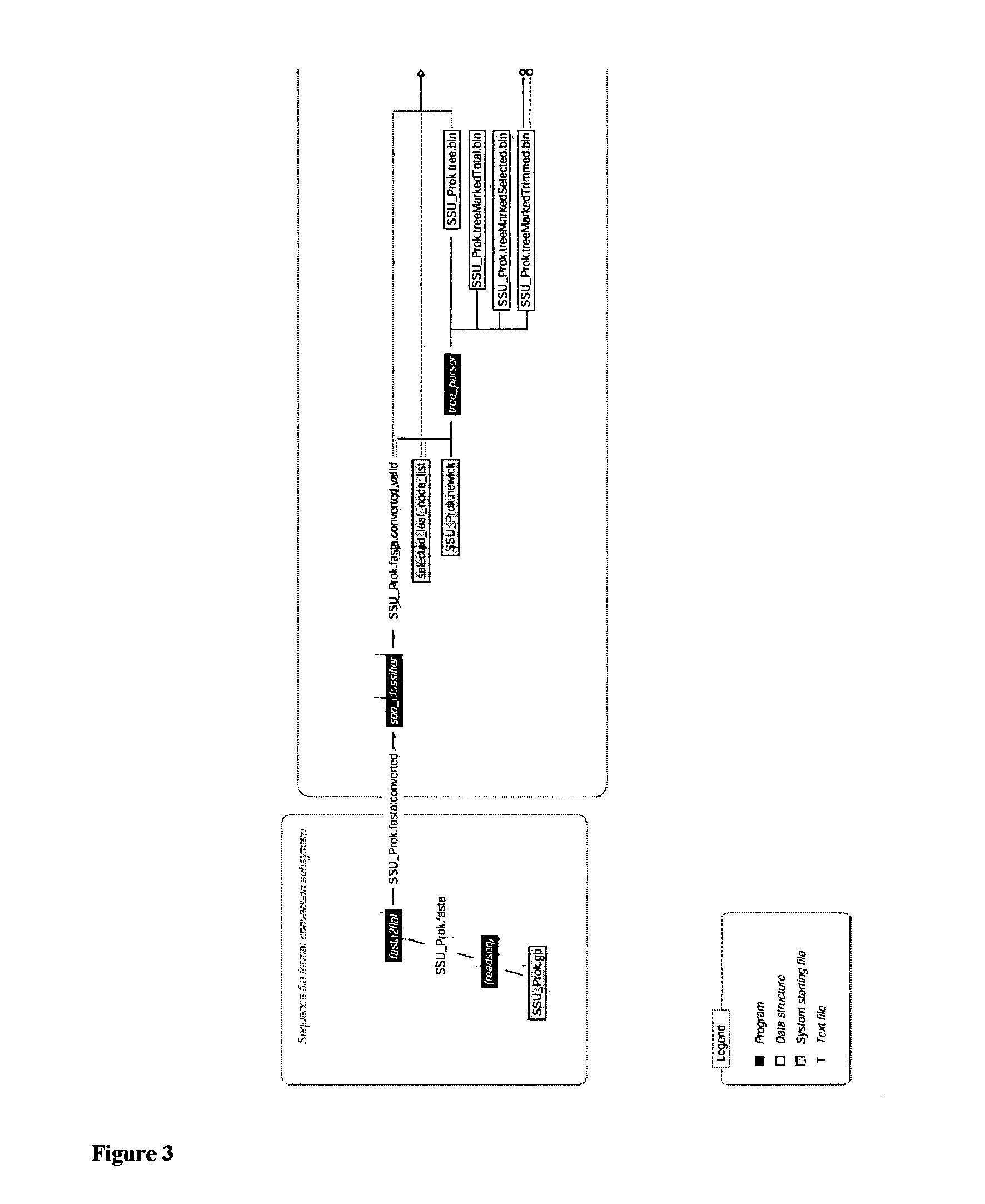 Methods for determining the genetic affinity of microorganisms and viruses