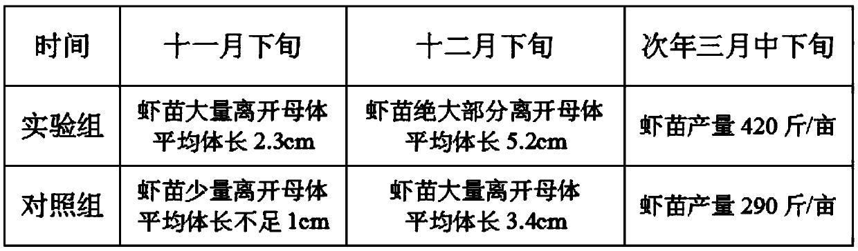 Method for efficient crayfish breeding in paddy field