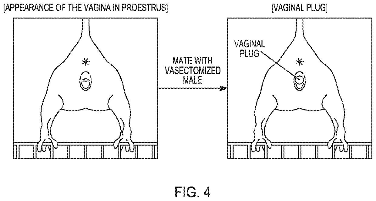 Method to prepare sperm