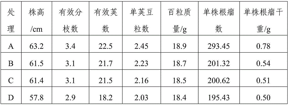 Special microbial organic fertilizer for leguminous crops, preparation method of fertilizer and application