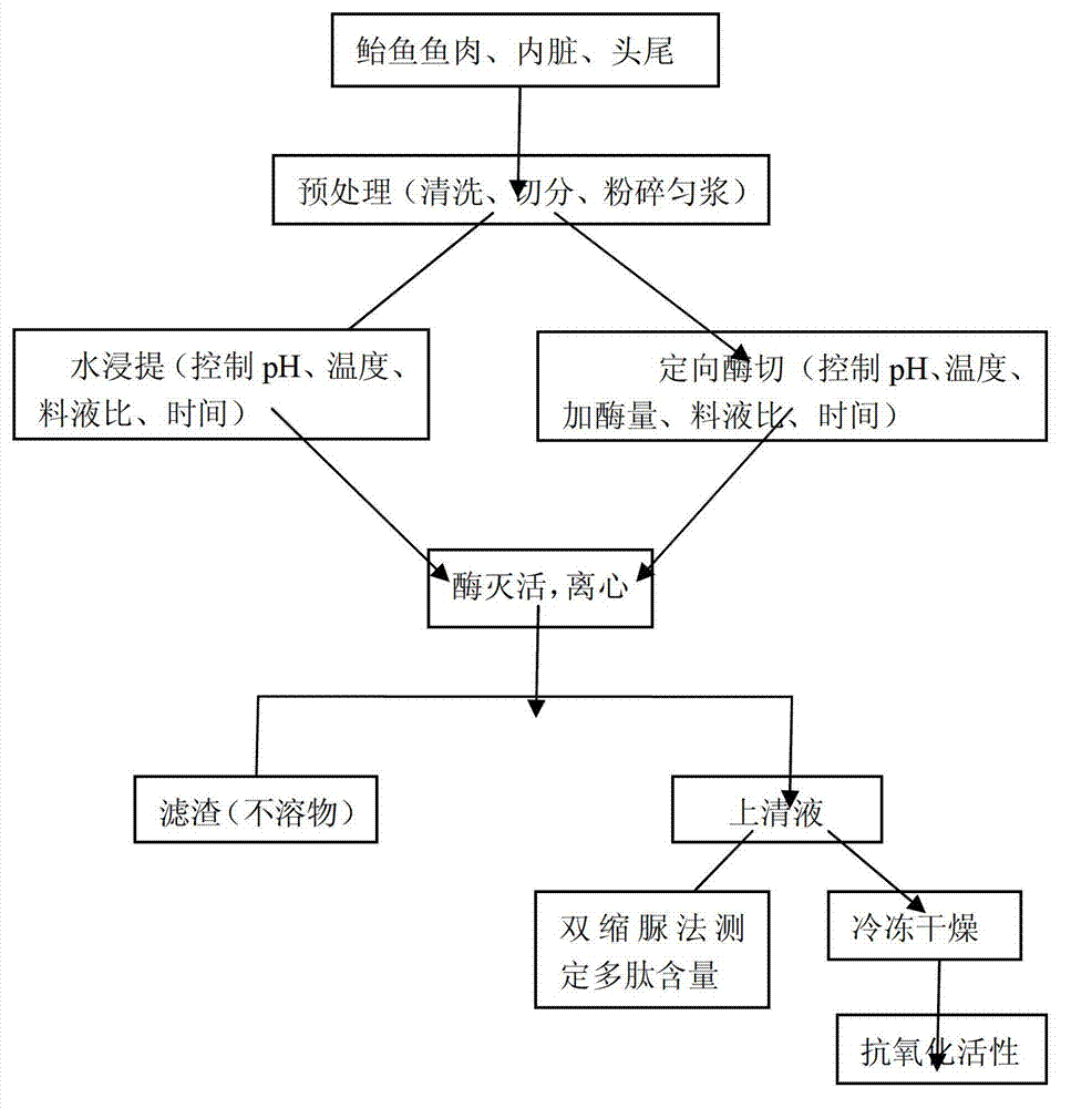 Preparation method of matreel active peptide