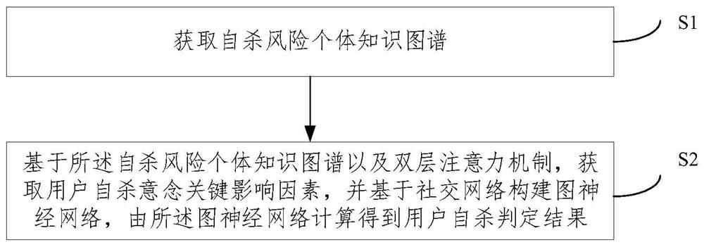 Social network suicide idea detection method and system