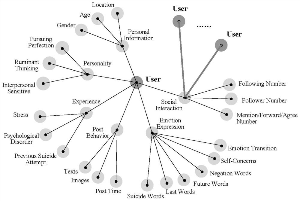 Social network suicide idea detection method and system