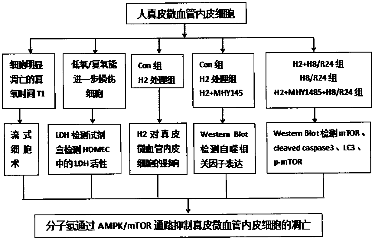 Specification for hydrogen treatment of reperfusion injury of dermal microvascular endothelial cells