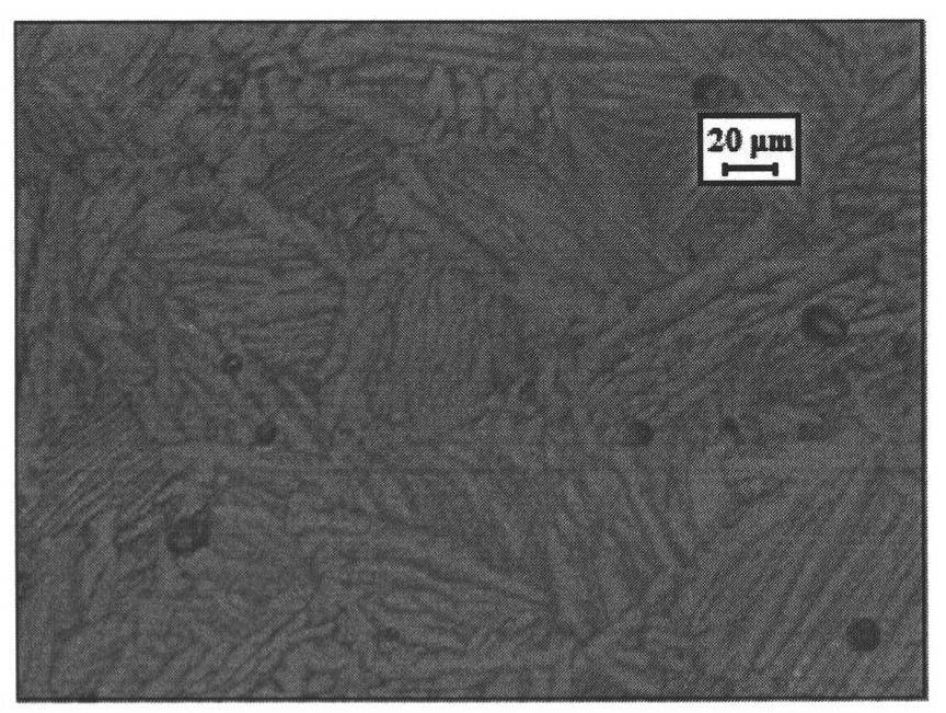 Powder metallurgy method of Ti-6Al-4V alloy