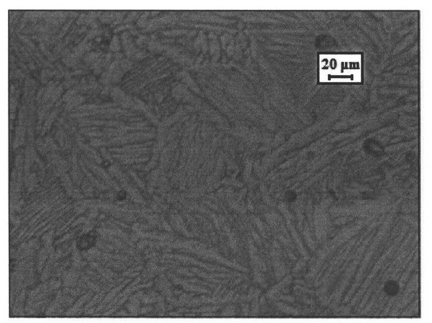 Powder metallurgy method of Ti-6Al-4V alloy