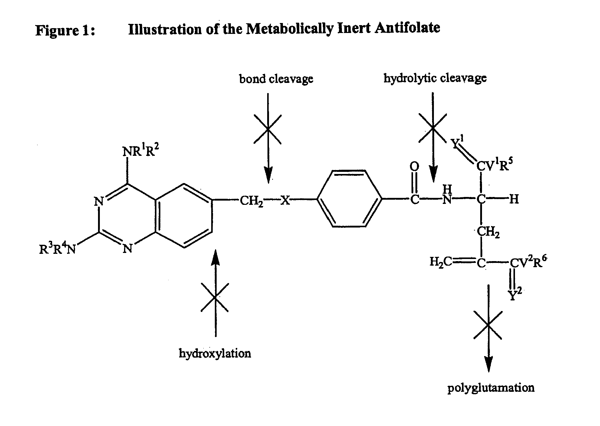 Metabolically inert antifolates for treating disorders of abnormal cellular proliferation and inflammation