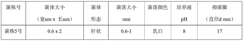 A strain of Enterobacter hallii and its application in the preparation of antibacterial drugs