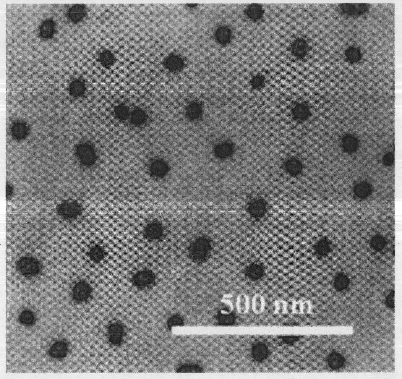 Method for preparing SiO2-poly(dimethylaminoethyl methacrylate) (PDMAEMA) nanoparticles having core-shell structure