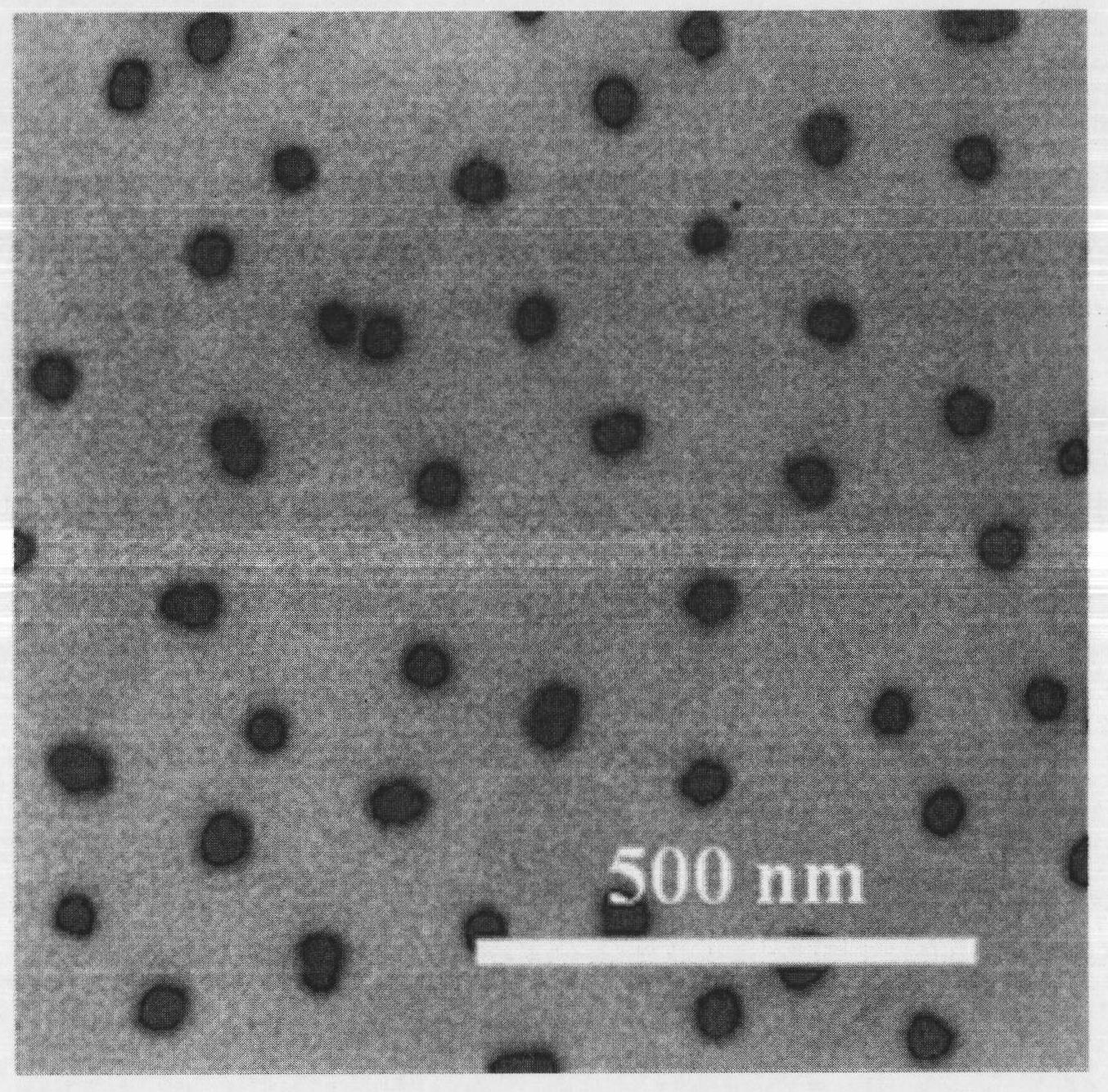 Method for preparing SiO2-poly(dimethylaminoethyl methacrylate) (PDMAEMA) nanoparticles having core-shell structure