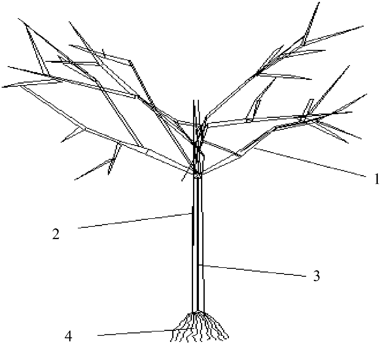 A road slope reinforcement treatment method based on plant stem and root grouting